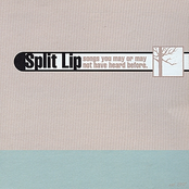 Cry Wolf by Split Lip