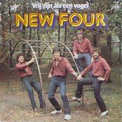 Vrij Zijn Als Een Vogel