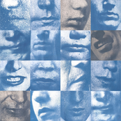 Diles que no me maten: La Vida De Alguien Más