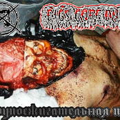 Трупосжигательная печь / Pigs Core Anal