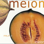 Fruit 2 - Melon