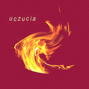 Uczucia
