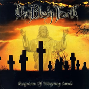 Requiem Of The Weeping Souls