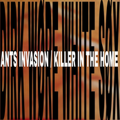 Ants Invasion / Killer In The Home