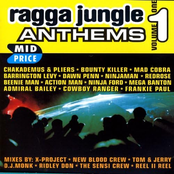 Ragga Jungle Anthems Vol. One