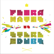 Flora Matos vs. Stereodubs