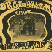 I Can Hear The Ants Dancin'