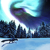 Endless nights under aurora borealis