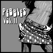 Pebbles Vol 11