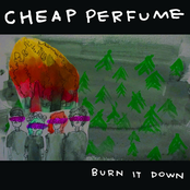 Cheap Perfume: Burn It Down