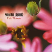 Rain Flowers