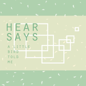 A Little bird told me