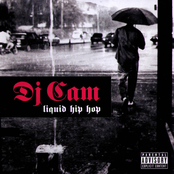 Liquid Hip Hop by Dj Cam