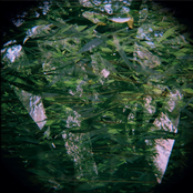 Mother Nature's Orchestra