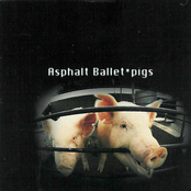 Pigs by Asphalt Ballet