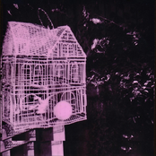 Everybody Come On Man