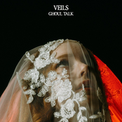 Veils - Single