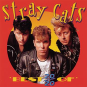 Sweet Love On My Mind by Stray Cats