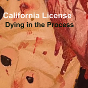 Dying in the Process