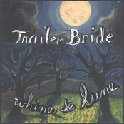 Work On The Railroad by Trailer Bride
