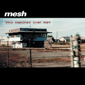 Razorwire by Mesh