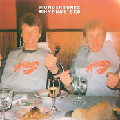 What's With Terry by The Undertones
