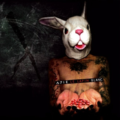 Le lapin blanc