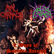 2 Ways Of Sadistic Intents