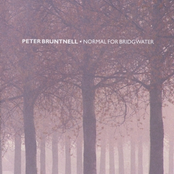 Played Out by Peter Bruntnell