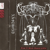 FROM A BLACK FUNERAL COFFIN