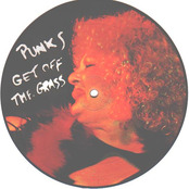 Punks, Get Off The Grass 7''