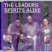 Spirits Alike