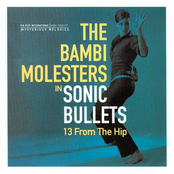 Sonic Bullets:13 From The Hip