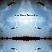 Your Voice Repeating