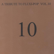 A Tribute To Flexi-Pop Vol. 10