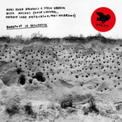 Barefoot in Bryophyte