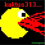 kaktus313