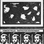 Restrictive Environment