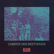 Zz Top Goes To Egypt by Camper Van Beethoven