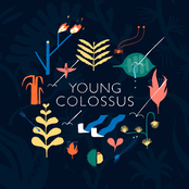 Young Colossus
