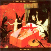 Monomaniac by X-marks The Pedwalk