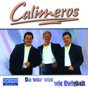 Mich Hat Es Erwischt by Calimeros