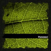 The Weed