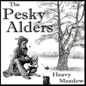 The Pesky Alders