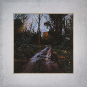 Elyne Road (feat. LEYLAH) - Single