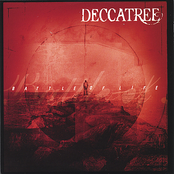 Belong by Deccatree