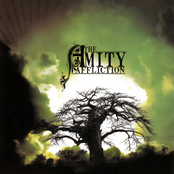 The Amity Affliction