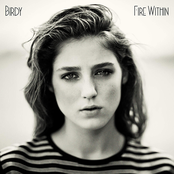 Birdy: Fire Within