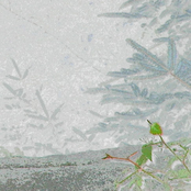 Relocate My Satellites