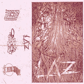 LASSAN ÁTJÁRÓ ZAVAR